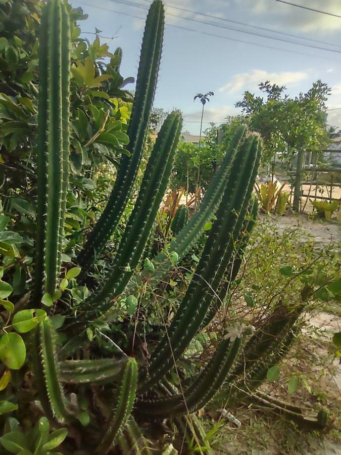 Pousada Quintal Dos Sonhos Xando การาอิวา ภายนอก รูปภาพ